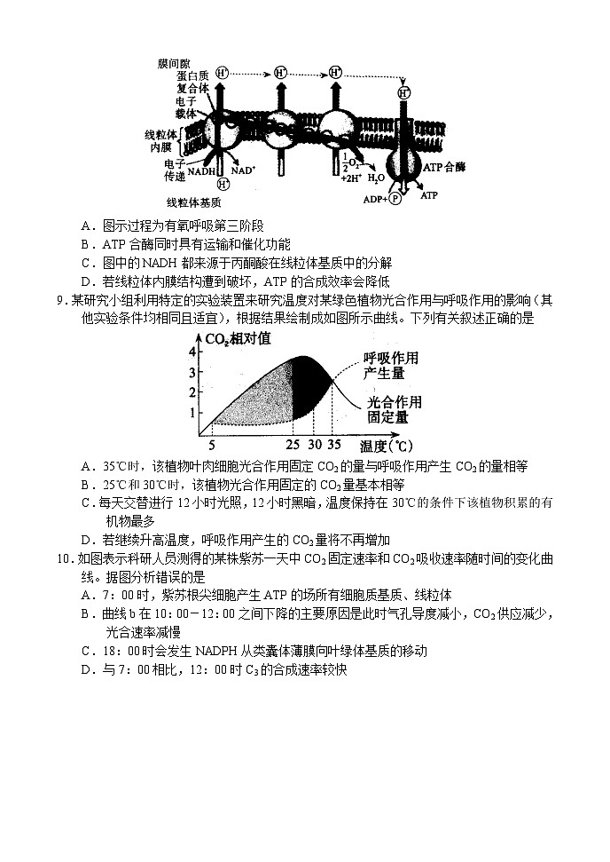 河南省顶级名校2023-2024学年高三生物上学期10月质量监测试题(Word版附解析)03