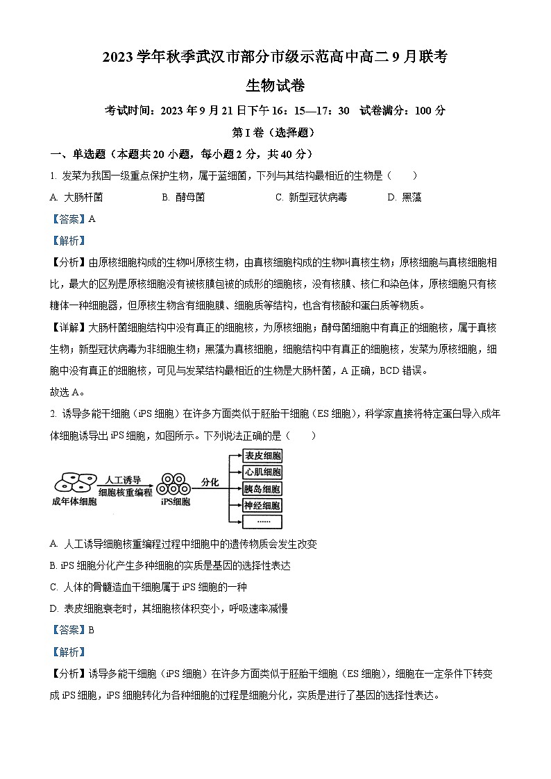湖北省武汉市部分市级示范高中2023-2024学年高二生物上学期9月联考试题(Word版附解析)第1页