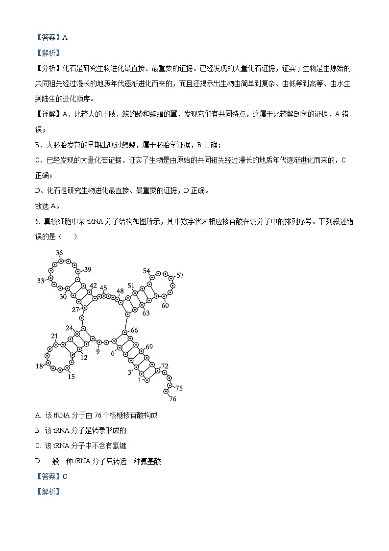 湖北省武汉市部分市级示范高中2023-2024学年高二生物上学期9月联考试题(Word版附解析)第3页