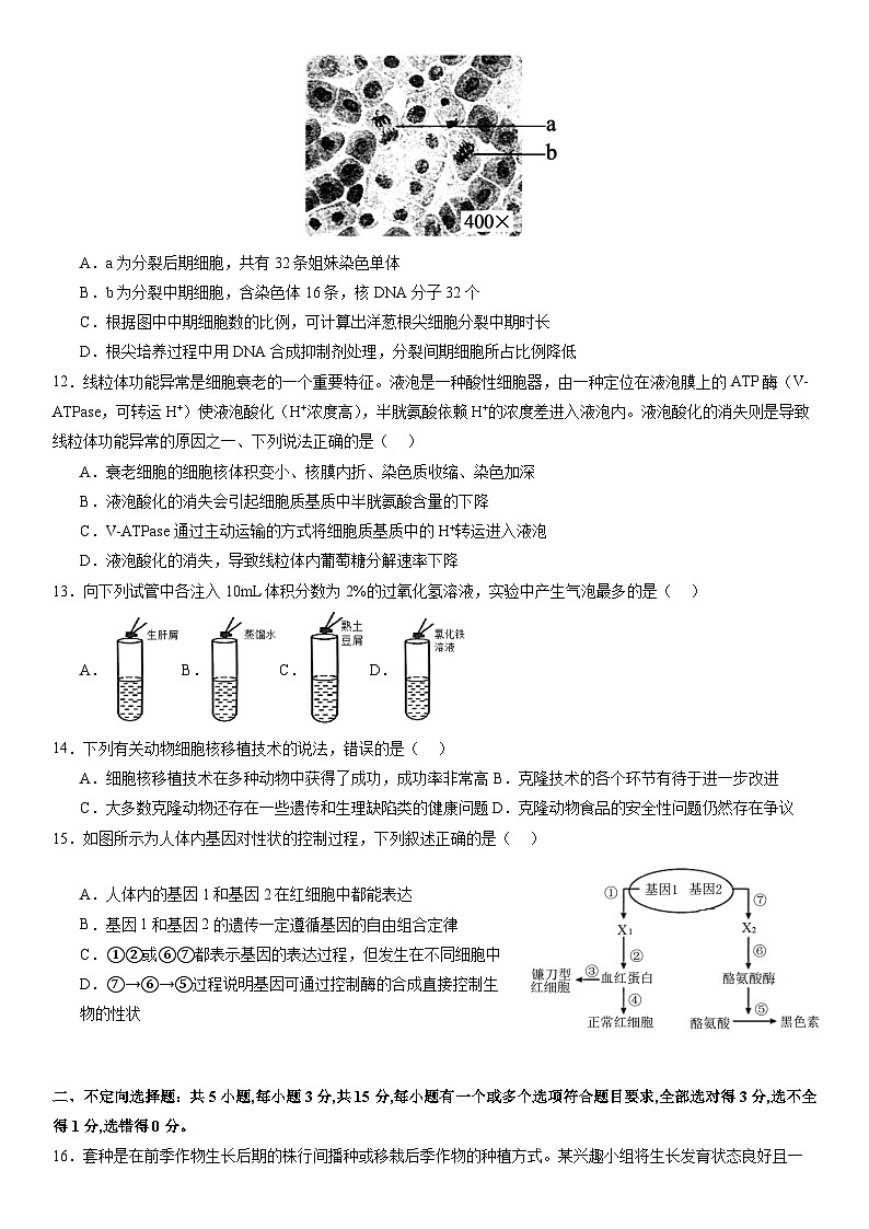辽宁省实验中学2023-2024学年高三上学期高考适应性测试(一)生物试题 Word版含答案第3页