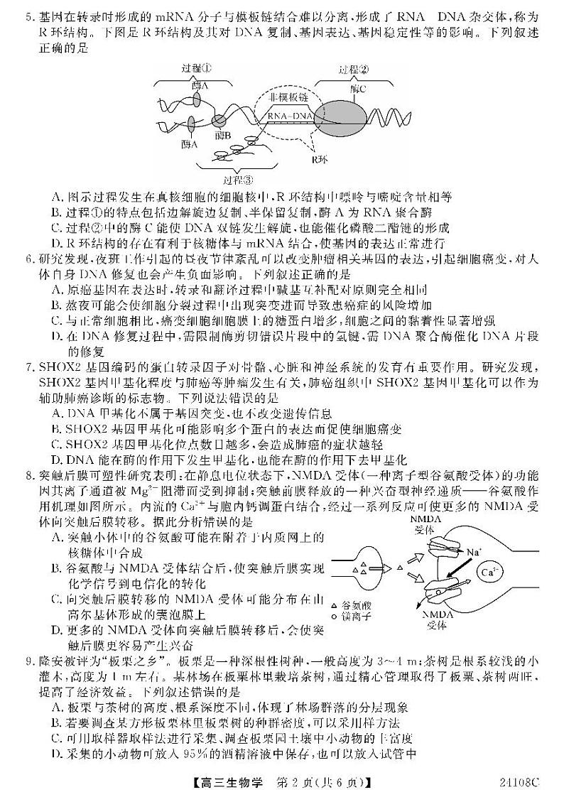 广西北海市2024届高三生物上学期第一次模拟考试试题(PDF版附解析)02