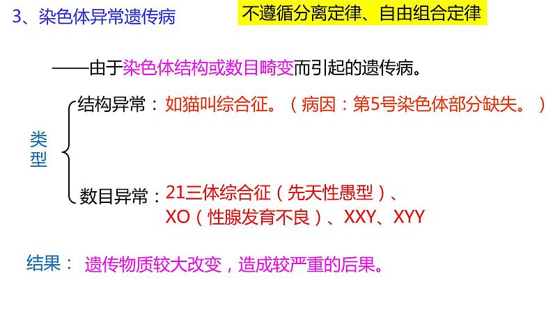 2024届高三生物二轮复习课件遗传规律应用(人类遗传病和遗传规律的综合及遗传实验设计)第6页