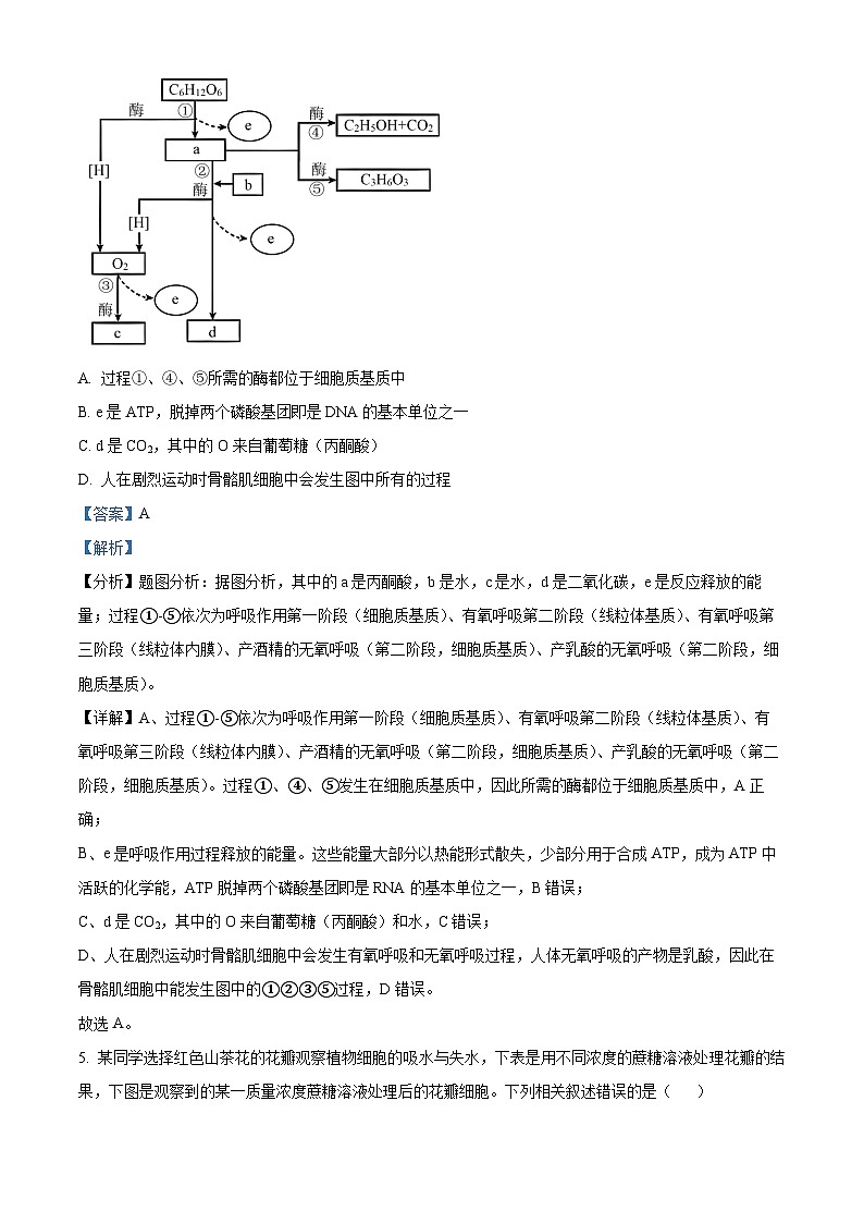 湖南省炎德名校联考联合体2023-2024学年高三生物上学期10月期中试题(Word版附解析)第3页