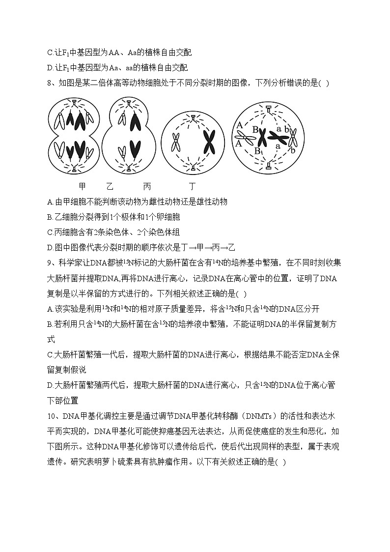 博爱县第一中学2023-2024学年高二上学期10月月考生物试卷(含答案)第3页
