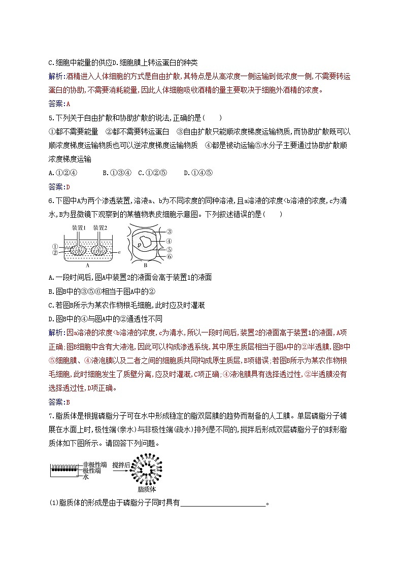 2023_2024学年新教材高中生物第4章细胞的物质输入和输出第1节被动运输课时作业新人教版必修1第2页