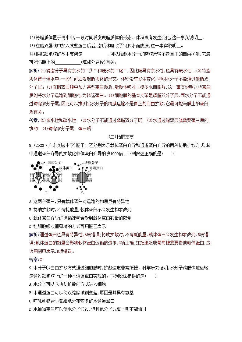 2023_2024学年新教材高中生物第4章细胞的物质输入和输出第1节被动运输课时作业新人教版必修1第3页