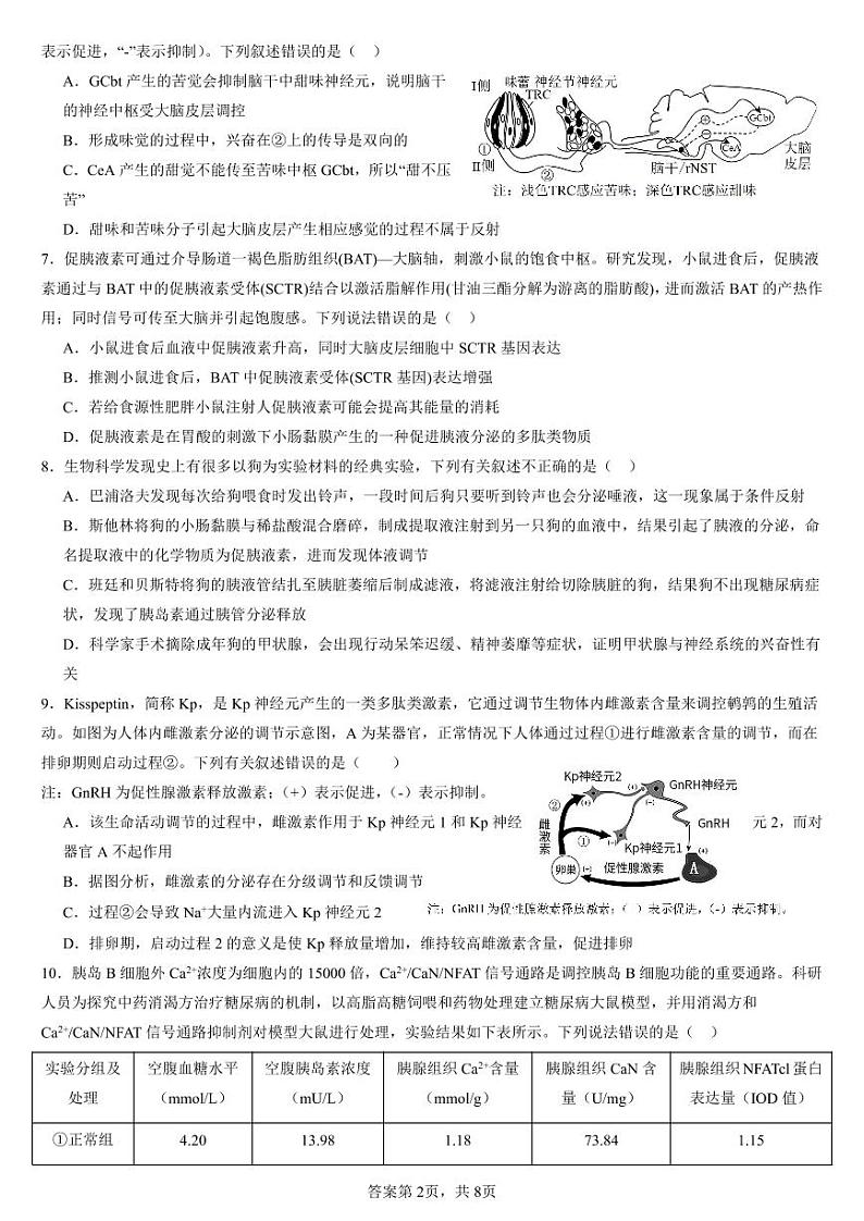 2024枣庄八中高二上学期10月月考试题生物PDF版含答案第2页