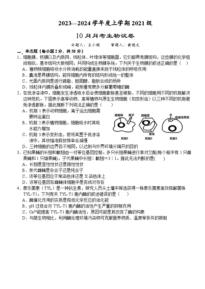湖北省荆州市沙市中学2023-2024学年高三上学期10月月考 生物 Word版含答案01