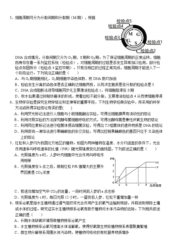 湖北省荆州市沙市中学2023-2024学年高三上学期10月月考 生物 Word版含答案02