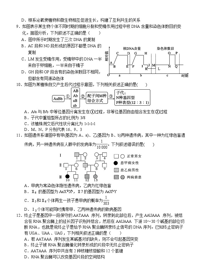 湖北省荆州市沙市中学2023-2024学年高三上学期10月月考 生物 Word版含答案03