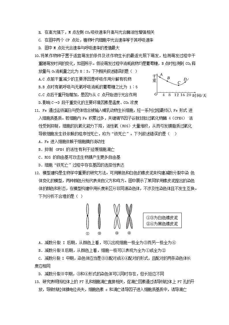 湖北省荆州中学2023-2024学年高三上学期10月半月考试题 生物 Word版含答案03