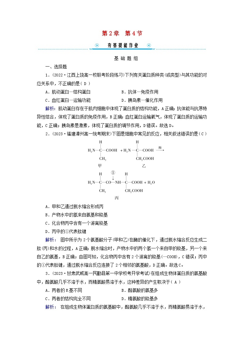 新教材适用2023_2024学年高中生物第2章组成细胞的分子第4节蛋白质是生命活动的主要承担者提能作业新人教版必修101