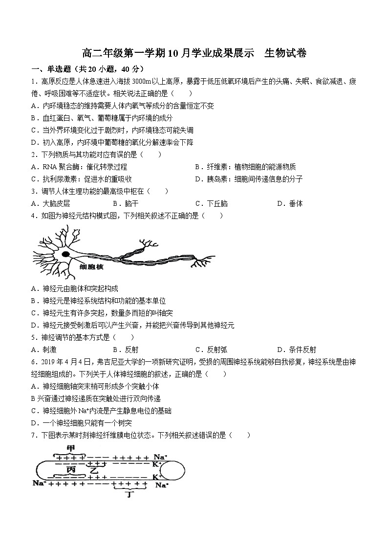 北京市顺义区第二中学2023-2024学年高二上学期10月学业成果展示生物试题第1页