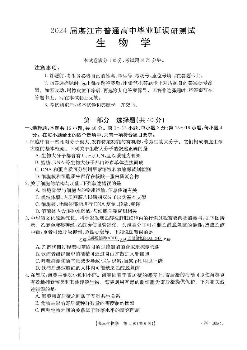 2024湛江普通高中高三上学期10月调研考试生物PDF版含解析01