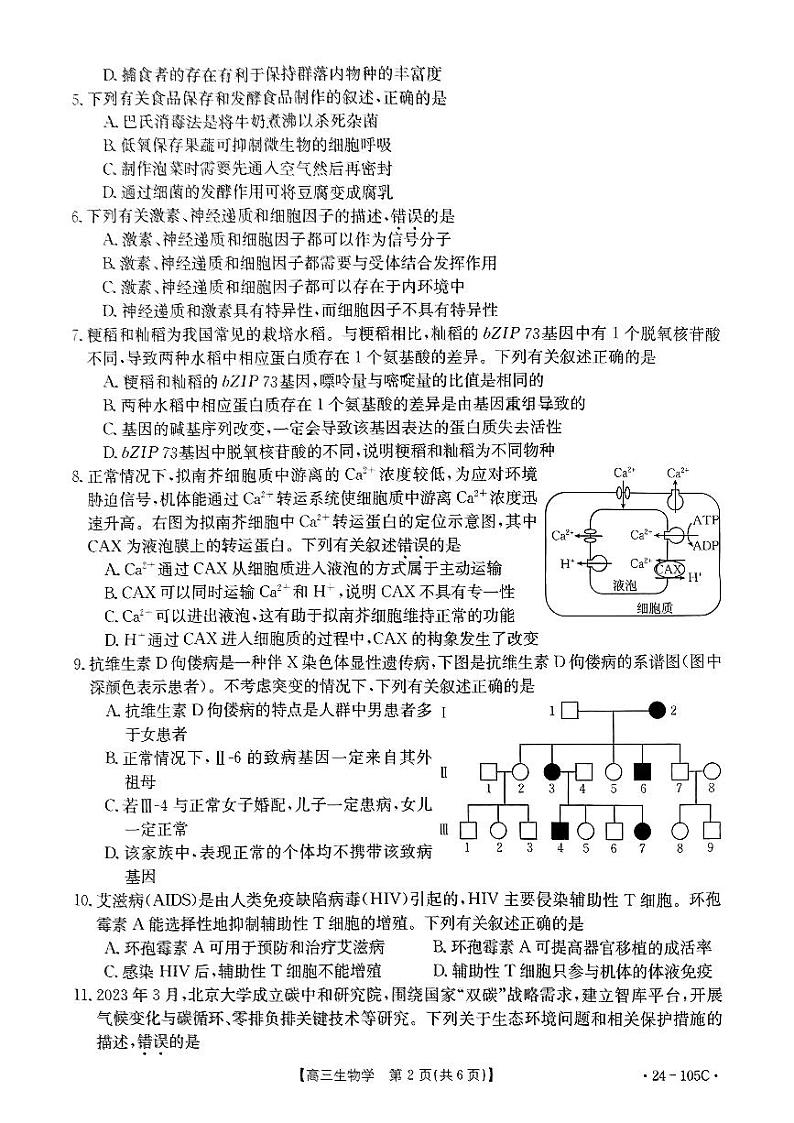 2024湛江普通高中高三上学期10月调研考试生物PDF版含解析02