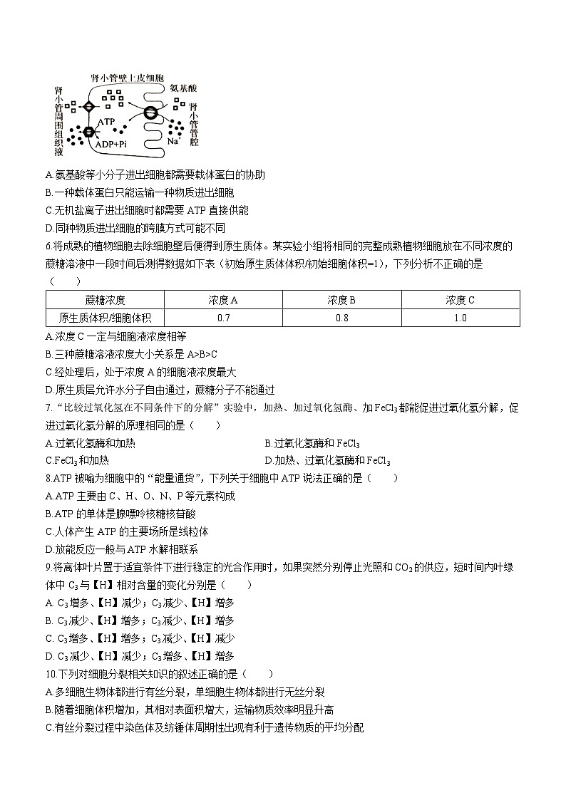 2024雅安高三上学期零诊考试生物无答案02