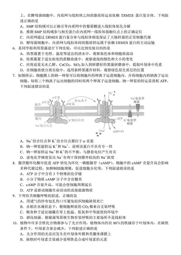 2023-2024学年河南中原名校联盟高三9月调研考试 生物试题(含答案)第2页