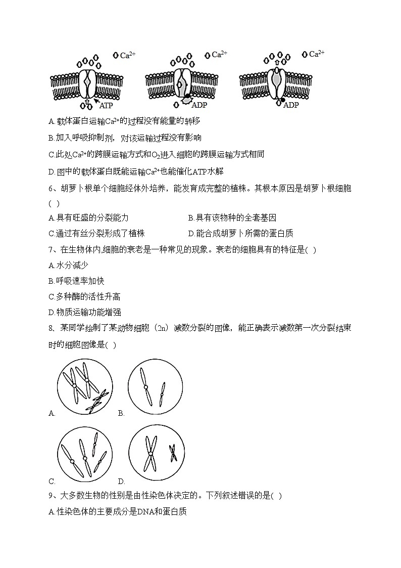 四川省南充高级中学2023-2024学年高二上学期第一次月考生物试卷(含答案)02