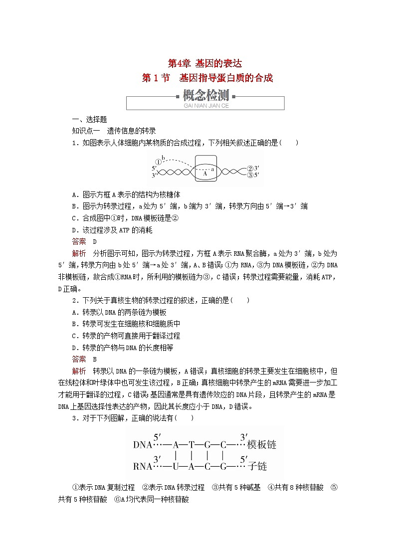 新教材2023版高中生物第4章基因的表达第1节基因指导蛋白质的合成同步检测新人教版必修2第1页