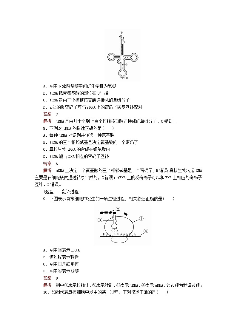 新教材2023版高中生物第4章基因的表达第1节基因指导蛋白质的合成同步检测新人教版必修2第3页