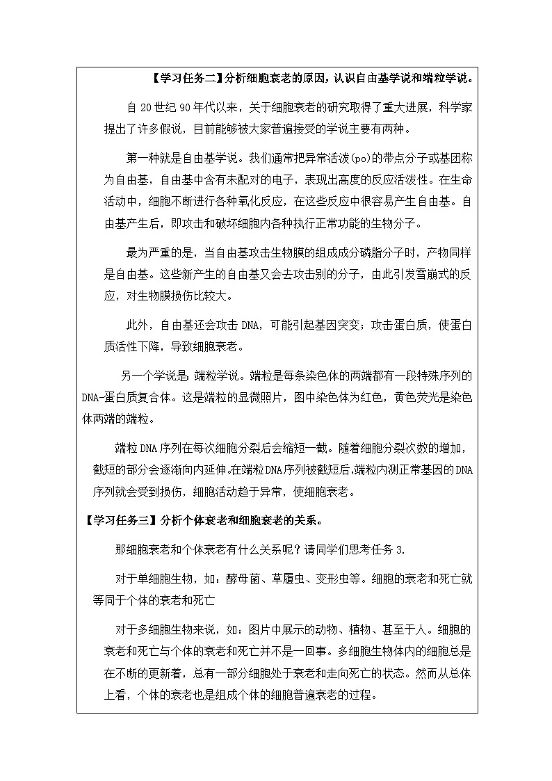 6.3细胞的衰老和死亡教学设计- 高中生物人教版必修一03