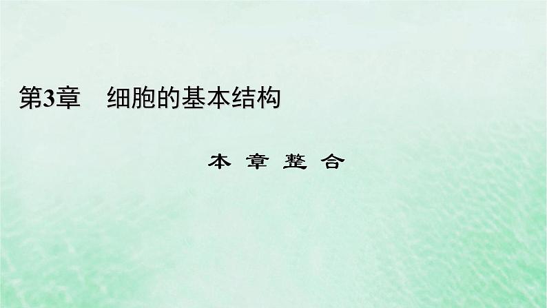 新教材适用2023_2024学年高中生物第3章细胞的基本结构本章整合课件新人教版必修101