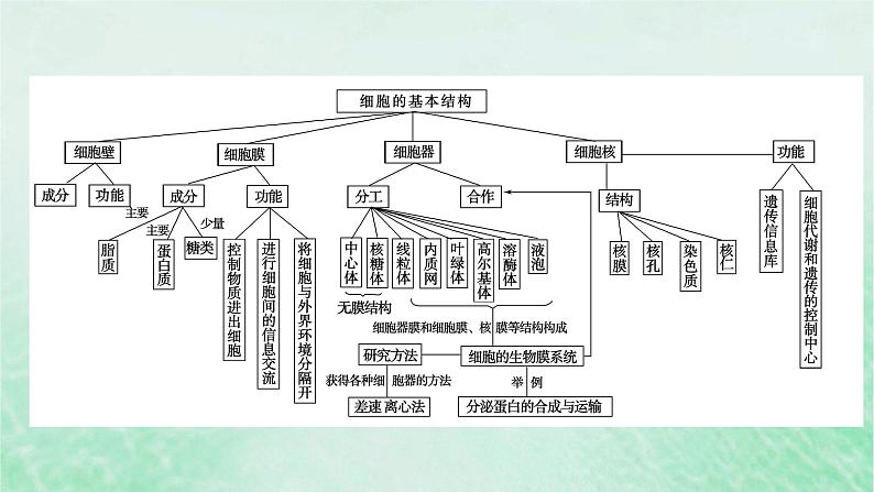 新教材适用2023_2024学年高中生物第3章细胞的基本结构本章整合课件新人教版必修104