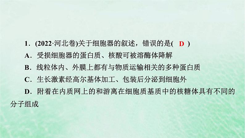 新教材适用2023_2024学年高中生物第3章细胞的基本结构本章整合课件新人教版必修106