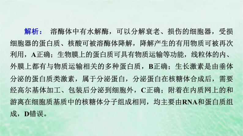 新教材适用2023_2024学年高中生物第3章细胞的基本结构本章整合课件新人教版必修107