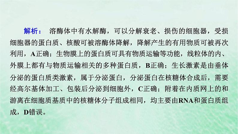 新教材适用2023_2024学年高中生物第3章细胞的基本结构本章整合课件新人教版必修107