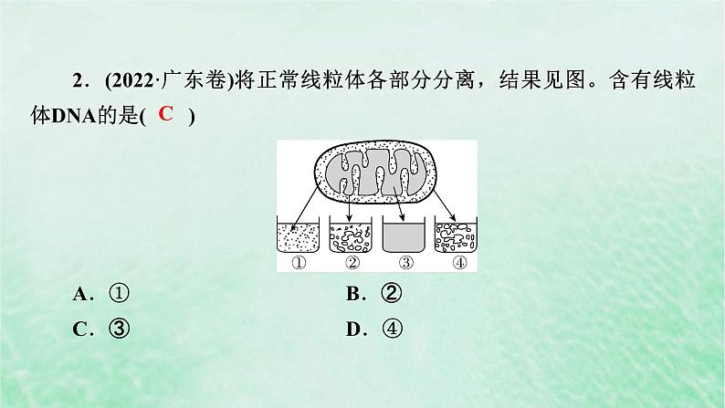 新教材适用2023_2024学年高中生物第3章细胞的基本结构本章整合课件新人教版必修108