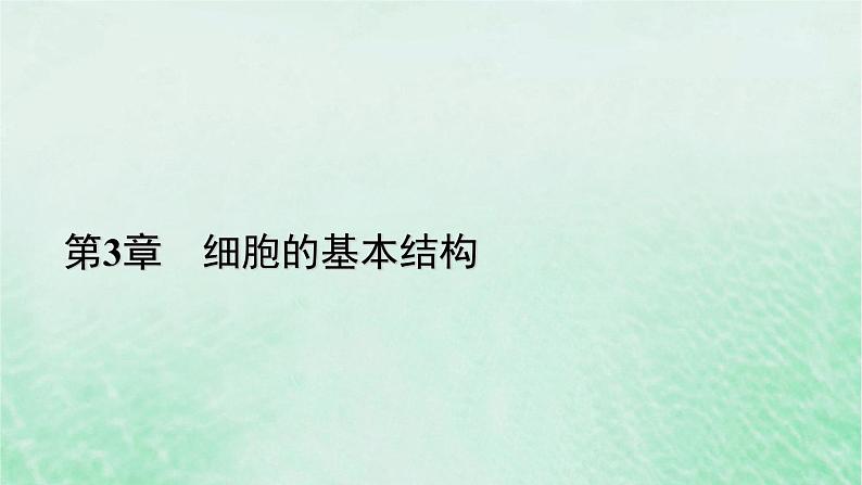 新教材适用2023_2024学年高中生物第3章细胞的基本结构第3节细胞核的结构和功能课件新人教版必修101