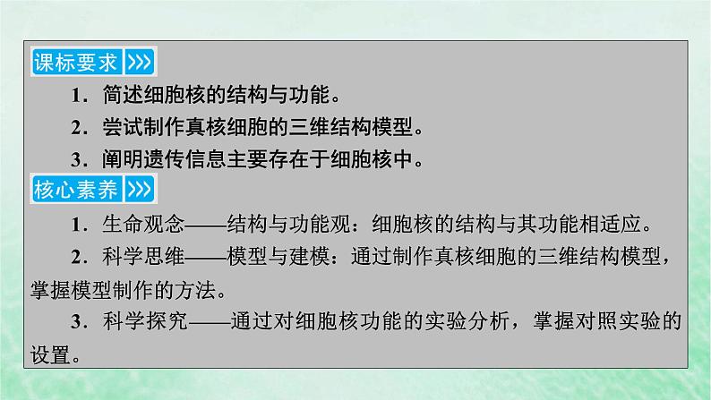 新教材适用2023_2024学年高中生物第3章细胞的基本结构第3节细胞核的结构和功能课件新人教版必修103