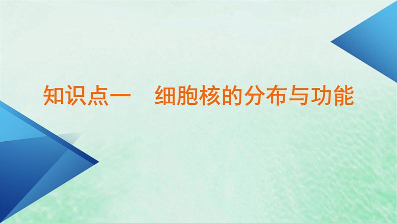 新教材适用2023_2024学年高中生物第3章细胞的基本结构第3节细胞核的结构和功能课件新人教版必修105