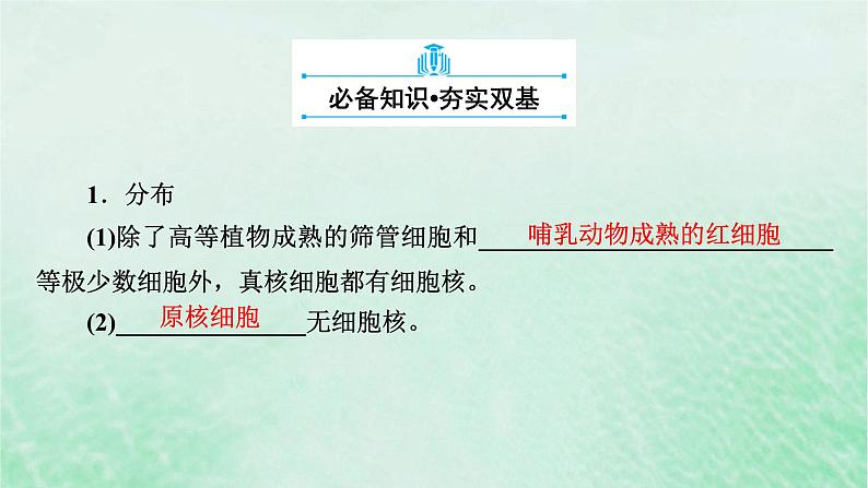 新教材适用2023_2024学年高中生物第3章细胞的基本结构第3节细胞核的结构和功能课件新人教版必修106