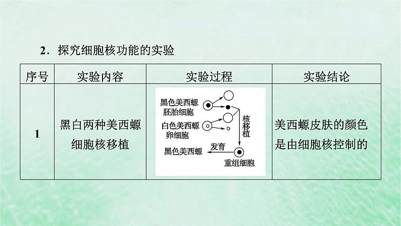 新教材适用2023_2024学年高中生物第3章细胞的基本结构第3节细胞核的结构和功能课件新人教版必修107