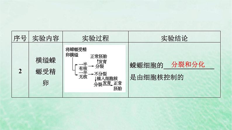 新教材适用2023_2024学年高中生物第3章细胞的基本结构第3节细胞核的结构和功能课件新人教版必修108