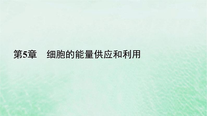 新教材适用2023_2024学年高中生物第5章细胞的能量供应和利用第2节细胞的能量“货币”ATP课件新人教版必修1第1页