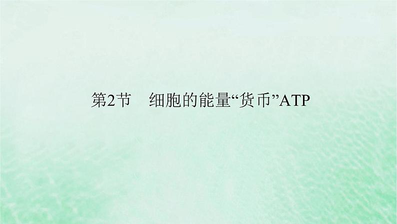 新教材适用2023_2024学年高中生物第5章细胞的能量供应和利用第2节细胞的能量“货币”ATP课件新人教版必修1第2页