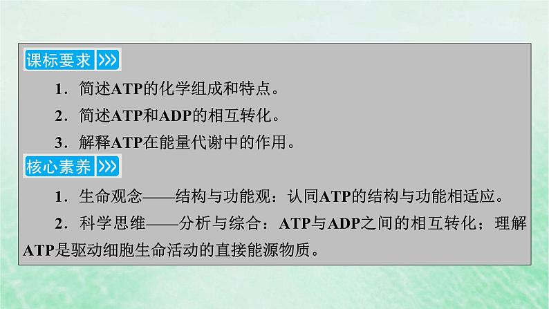 新教材适用2023_2024学年高中生物第5章细胞的能量供应和利用第2节细胞的能量“货币”ATP课件新人教版必修1第3页