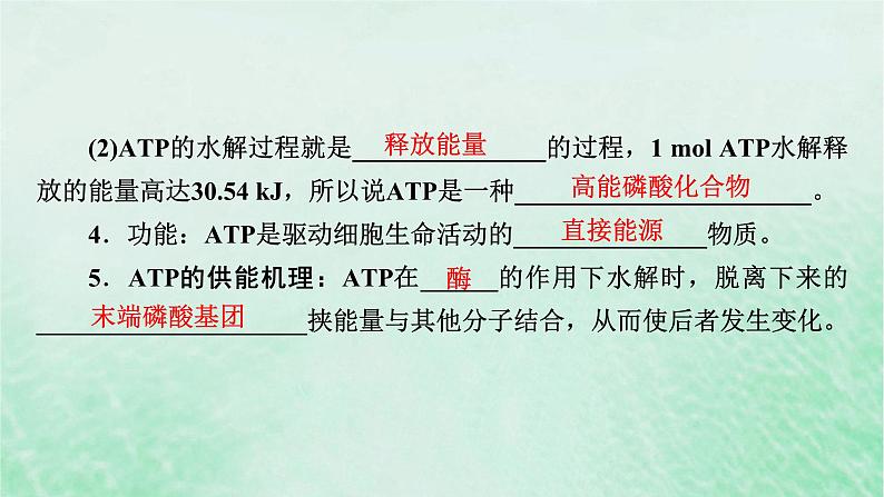 新教材适用2023_2024学年高中生物第5章细胞的能量供应和利用第2节细胞的能量“货币”ATP课件新人教版必修1第7页