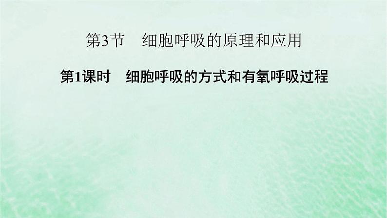 新教材适用2023_2024学年高中生物第5章细胞的能量供应和利用第3节细胞呼吸的原理和应用第1课时细胞呼吸的方式和有氧呼吸过程课件新人教版必修102