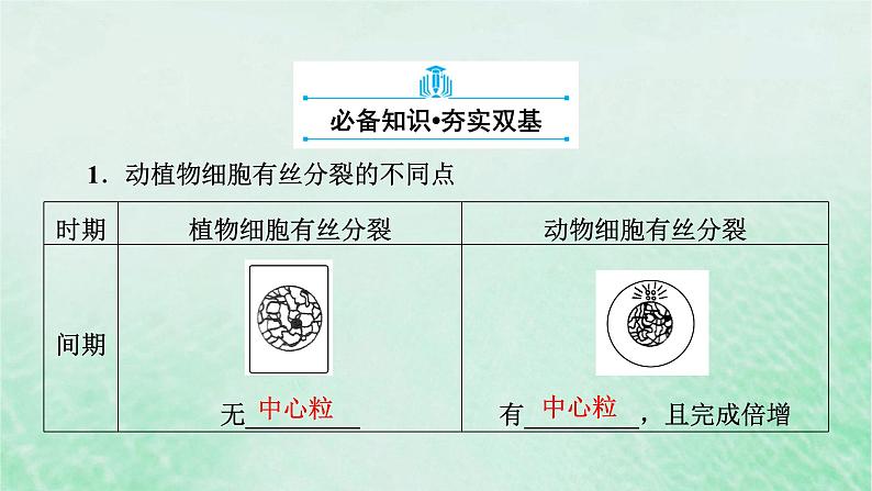 新教材适用2023_2024学年高中生物第6章细胞的生命历程第1节细胞的增殖第2课时动物细胞的有丝分裂及无丝分裂与观察根尖分生区组织细胞的有丝分裂课件新人教版必修1第6页