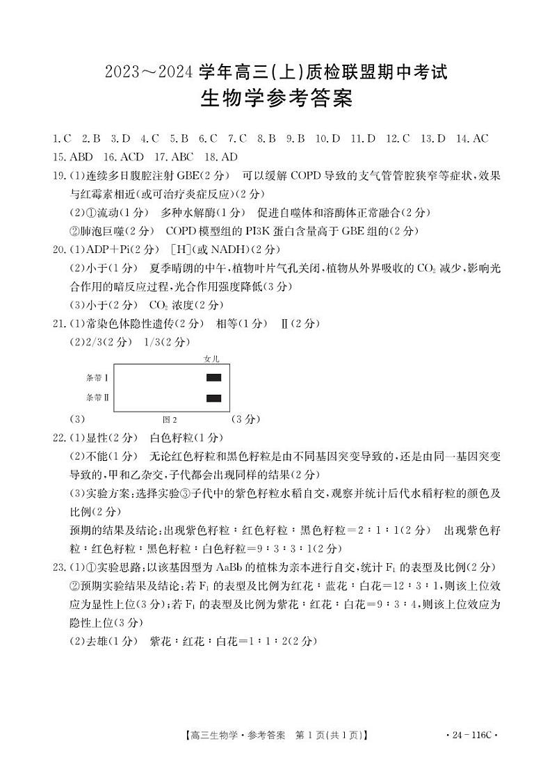 2024邢台四校质检联盟高三上学期期中考试生物PDF版含答案01