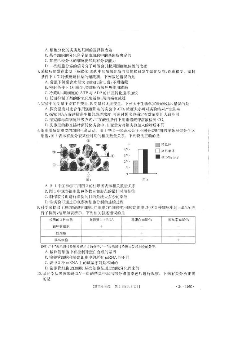 2024邢台四校质检联盟高三上学期期中考试生物PDF版含答案02