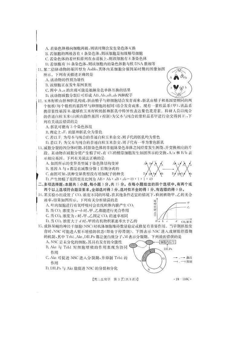 2024邢台四校质检联盟高三上学期期中考试生物PDF版含答案03