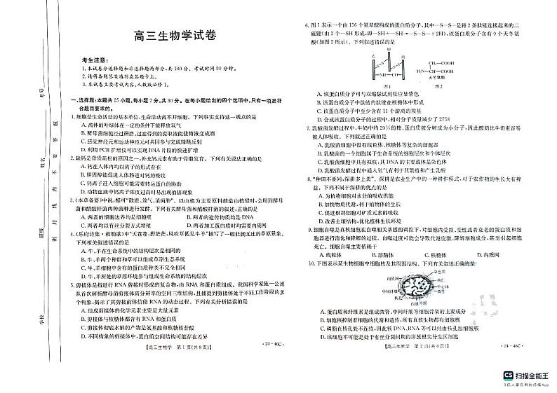 新疆兵团地州学校2023-2024学年高三生物上学期期中联考试题(PDF版附答案)第1页