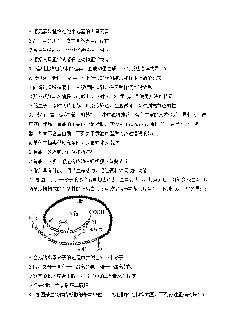 辉南县第六中学2023-2024学年高一上学期10月半月考生物试卷(含答案)第2页