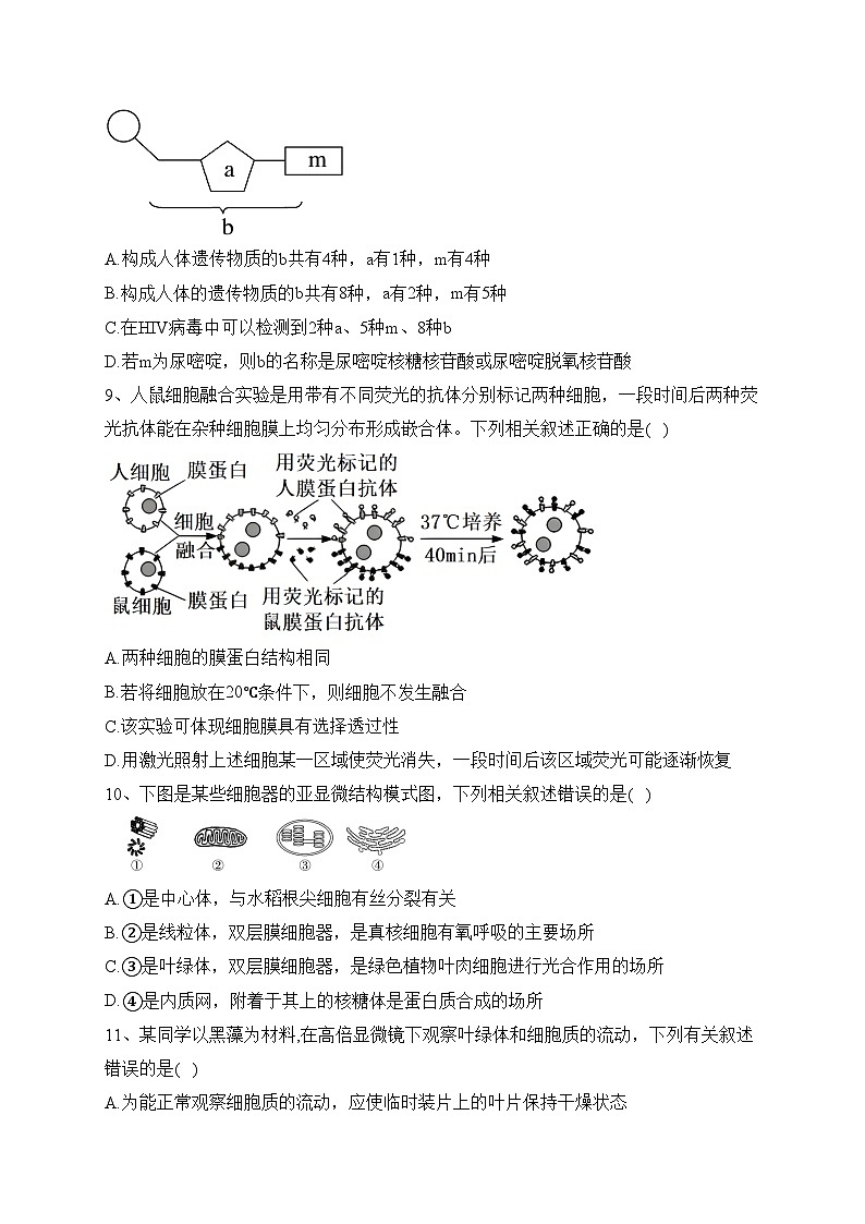 辉南县第六中学2023-2024学年高一上学期10月半月考生物试卷(含答案)第3页