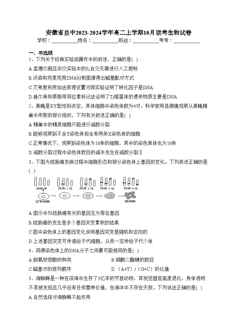 安徽省县中2023-2024学年高二上学期10月联考生物试卷(含答案)01